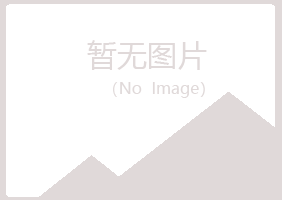 渭南夜山建设有限公司